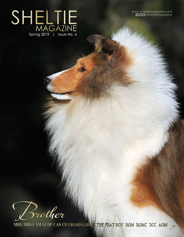 COVER 2019 Spring Issue - MBIS MBISS AM GCHP CAN CH Grandgables The Frat Boy ROM ROMC 3CC AOM